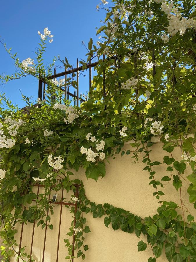 Le Jardinet De Rosa Maison De Village Eygalières Exterior foto